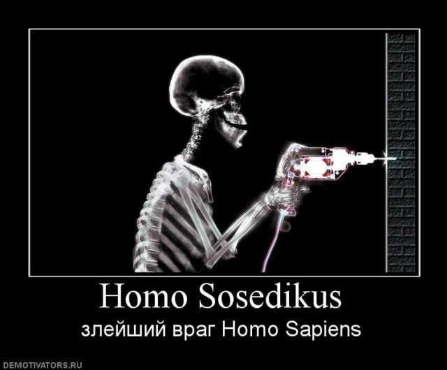 155507_homo-sosedikus.jpg